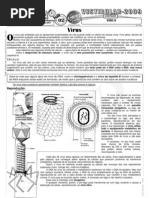 Download Vrus by Loureno_2 SN3819454 doc pdf