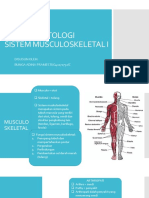 Patologi Musculoskeletal I