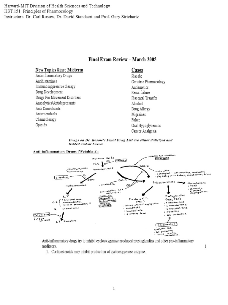 Final Exam Review MIT PDF