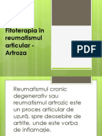 Fitoterapia În Reumatismele Articulare - Artroze