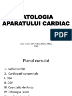 Curs 14,15 - Cardiac