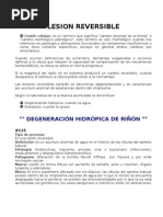Download Laboratorio de patologa manual del Pintor by Vic Pilot SN38195695 doc pdf