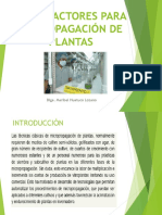 BIORREACORES PROPAGACION PLANTAS.pdf