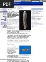 Download Human Evolution by api-1628373 SN3819589 doc pdf