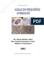 Neoplasias en Pequenos Animales Subray