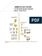 Reproductive System Embryology 2017