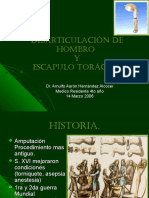 desarticulaciondehombroyescapulotoracica-141003111644-phpapp01.pdf