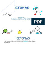 Cetonas Expo