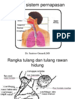 Sistem Pernapasan Atas 2014 