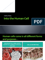 Into The Human Cell: Audrey Zhang