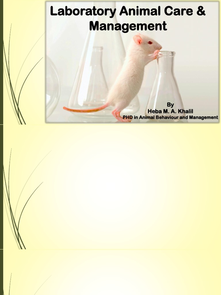 Laboratory Animal Handling Techniques | PDF | Injection (Medicine) | Blood