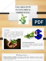 Valoracion Economica Ambiental
