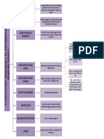 Clasificación Sindrómica de Enfermedades Renoureterales