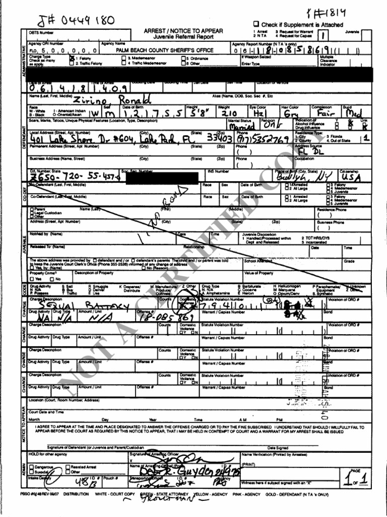 Ronald Zirino Police Report PDF