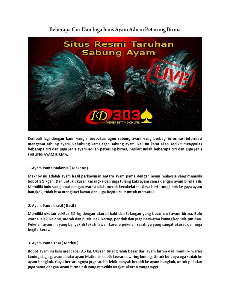Beberapa Ciri Dan Juga Jenis Ayam Aduan Petarung Birma