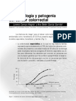 Fisiopatologia Cancer Color Rectal