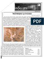 Revista Divina Vindecare NR 76 PDF