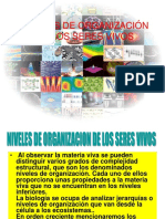 1 NIVELES DE ORGANIZACION.ppt