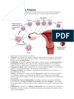 Resumo de Embrio Normal