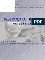 Livro Engenharia e Segurança do Trabalho.pdf