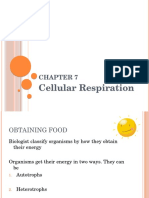Cellular Respiration Notes 2012 (1).pptx
