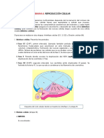 Semana 8