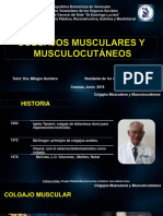 Colgajos Musculares Diogenes Briceño - CRG Plastica Hospital Dr. Domingo Luciani