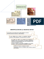 Identificacion de Las Manchas de Pus