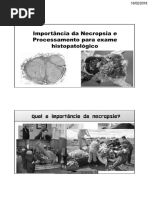 Aula 01 - Importância Da Técnina de Necropsia