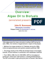 Algae Oil to Biofuels