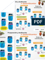 Infografia Corregido