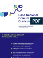 Apresentacao O Que e a Base