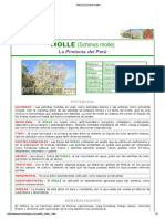 MOLLE (Schinus molle).pdf