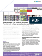 Prizm™: Petrophysical Log Analysis Software