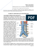 23 - Anatomia II - 23.03.2017 - R