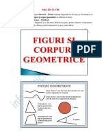 Fisa de Lucru Figuri Geometrice PDF