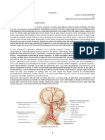 11 - Anatomia II - 23.02.2017.pdf