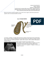 28 - Anatomia II 05-04-2017 R.pdf