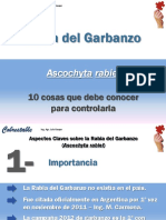Rabia Del Garbanzo para PDF