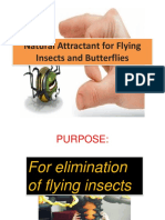 Natural Attractant For Flying Insects and Butterflies