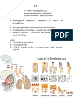 Embriologie An1lp1 Sem2 2018