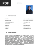Hoja de Vida - Julian