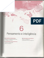 6 - Pensamento e Inteligência - Introdução À Psicologia