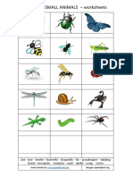 Insects & Small Animals Worksheets