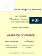 Aparato Locomotor