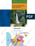 Informe Geoambiental Trujillo