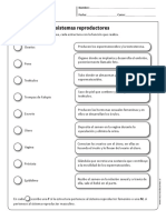 Funciones Reproductor PDF