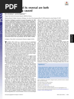 Flynn effect and its reversal are both environmentally caused