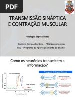 Transmissão Sináptica - Prof Rodrigo.pdf