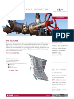 British Columbia'S Oil and Natural Gas Industry: LNG Job Creation